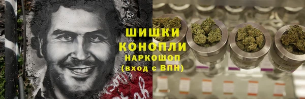 ГАЛЛЮЦИНОГЕННЫЕ ГРИБЫ Медвежьегорск