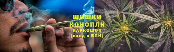 ГАЛЛЮЦИНОГЕННЫЕ ГРИБЫ Медвежьегорск
