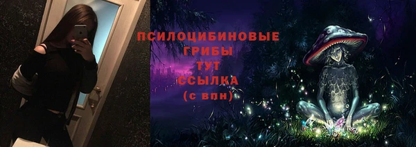 ешки Мегион