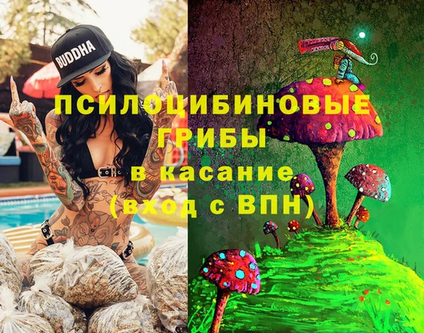 ешки Мегион