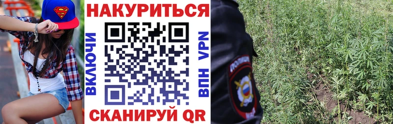 МАРИХУАНА OG Kush Сухой Лог